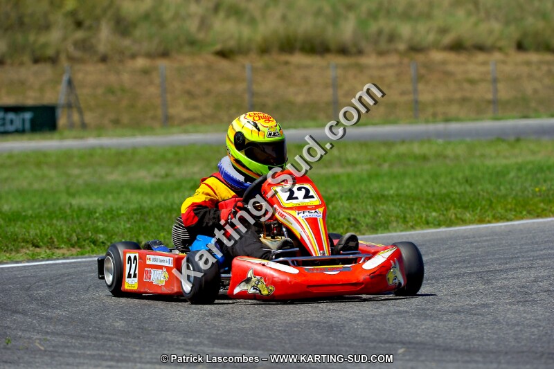 DSC_ (1454).jpg